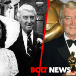 Judy Stewart-Merrill