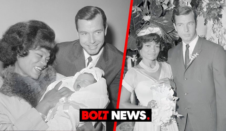 John William McDonald